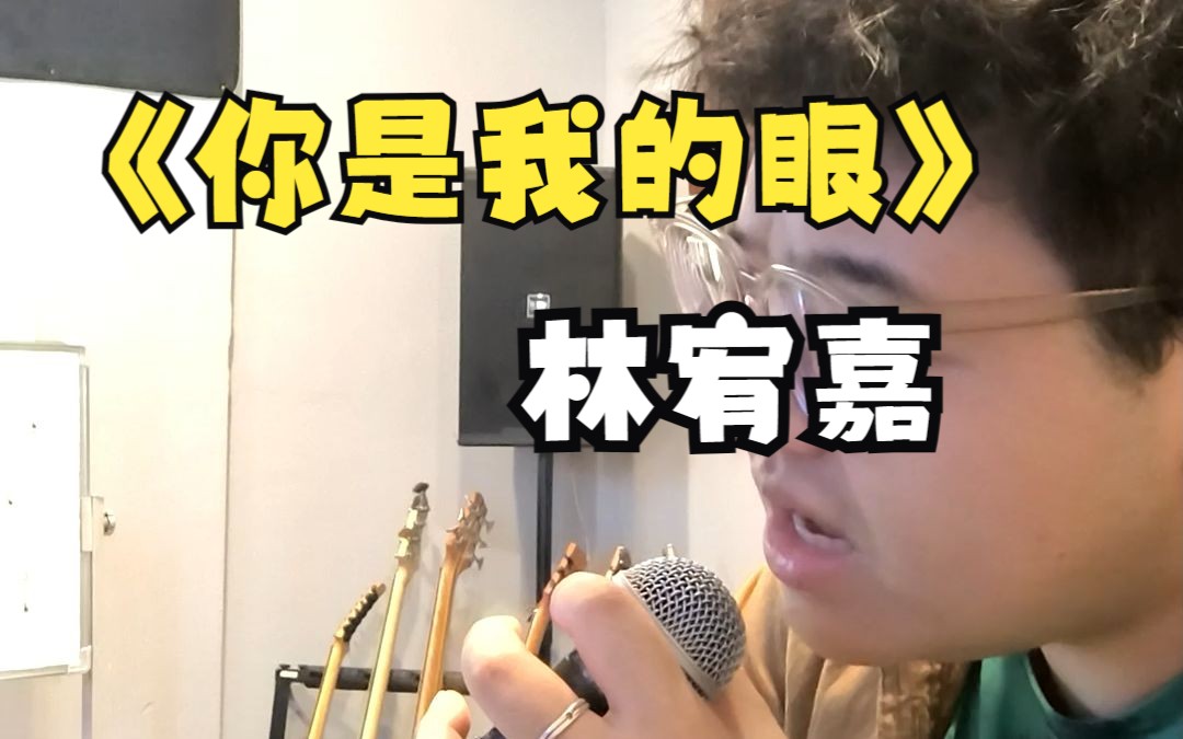 《你是我的眼》林宥嘉 只能说有一点点像