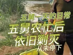 Download Video: 农忙过后，清道夫一个都逃不了！