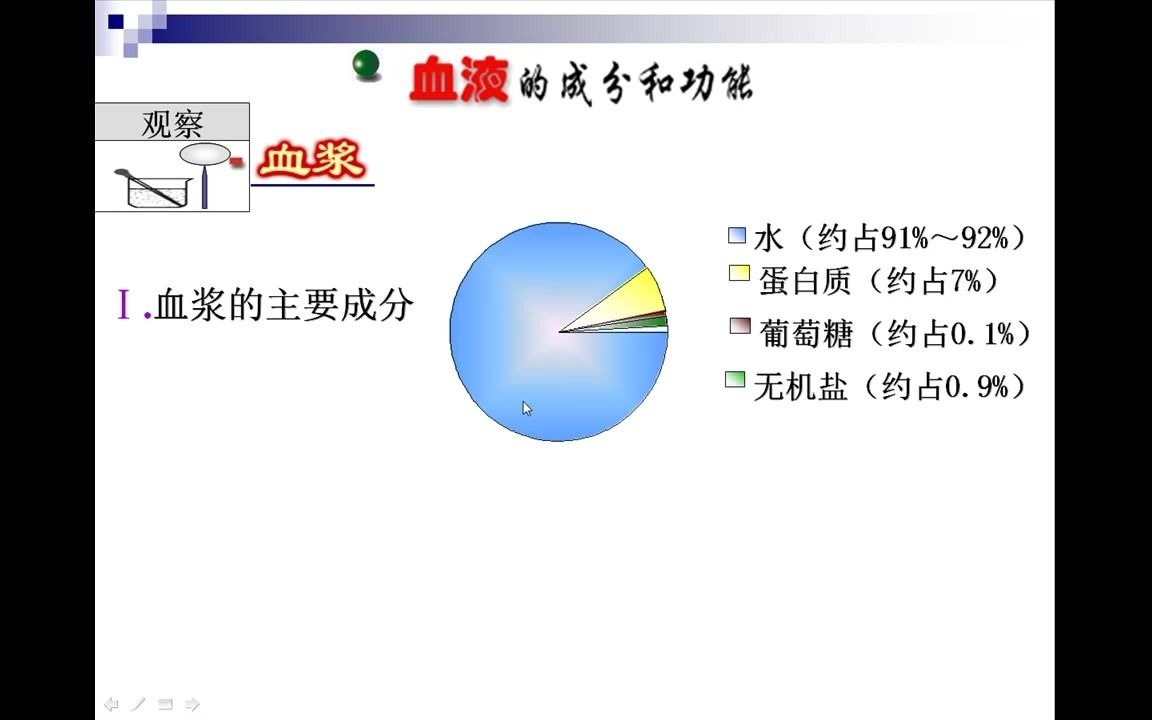 初中生物血液的组成及功能哔哩哔哩bilibili