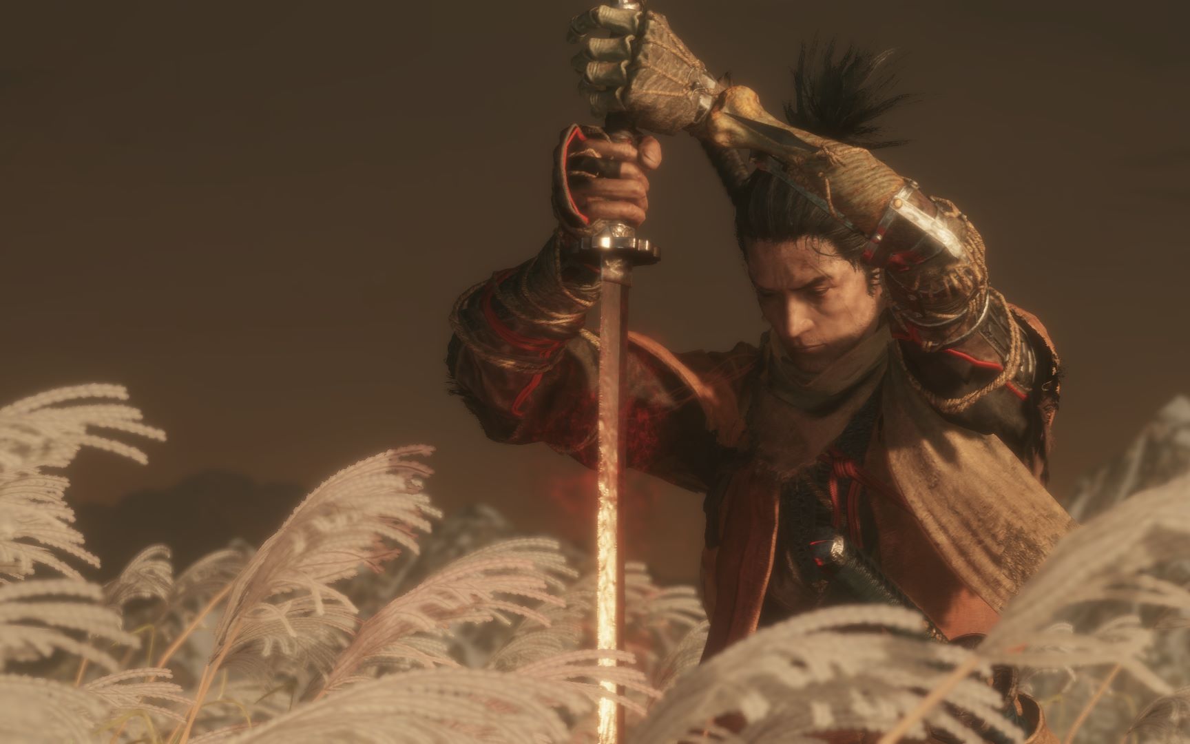 01皇子被抓跑啦