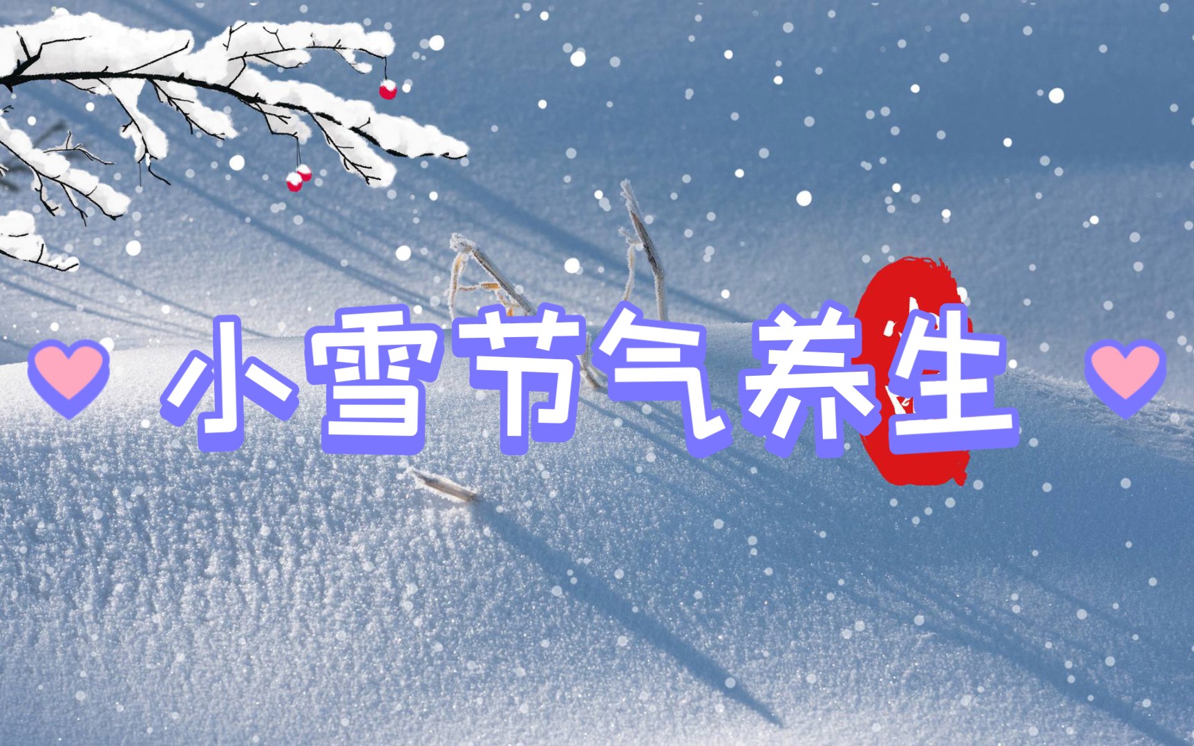 小雪节气养生哔哩哔哩bilibili