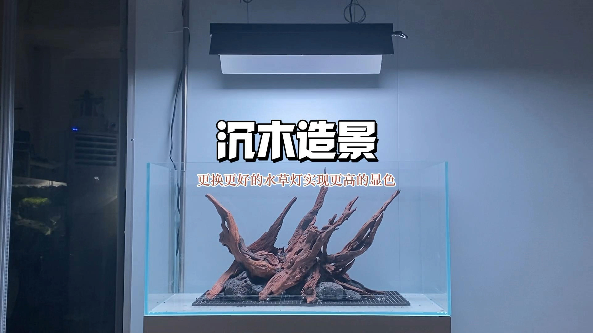 沉木造景#鱼缸造景#草缸 换个好点的灯造景看起来都更好看