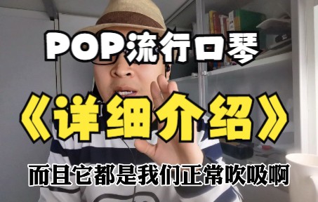 POP调音的十孔口琴详细介绍以及设计初衷哔哩哔哩bilibili