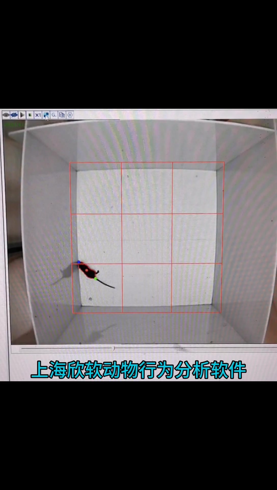 上海欣软信息科技有限公司动物行为学软件分析旷场实验(open field)哔哩哔哩bilibili