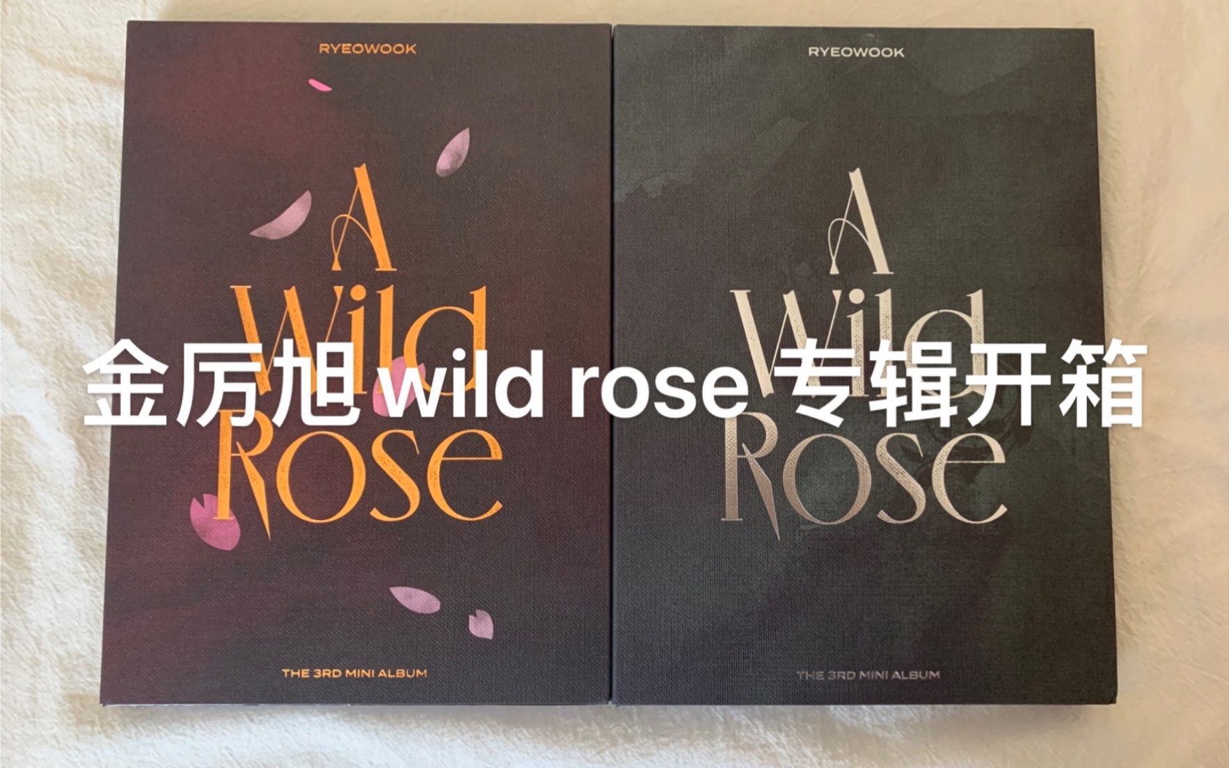 [图]金厉旭A wild rose专辑开箱