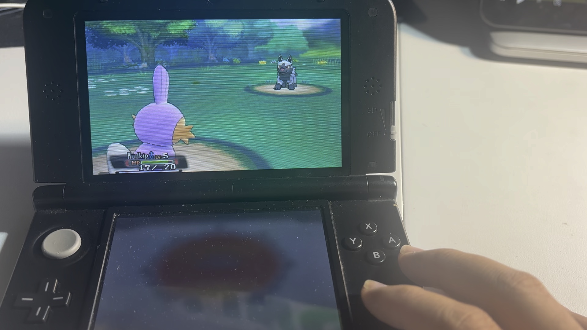 闪光水跃鱼 终极红宝石 宝石复刻 sl3047