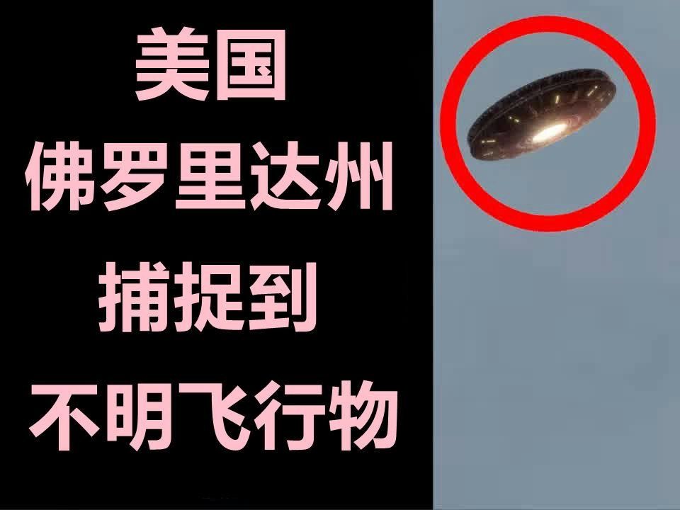 美国承认UFO图片