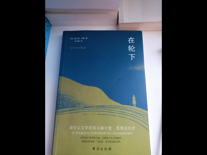 [图]《在轮下》:车轮下的彷徨少年，他本不该被遗忘在轮下，愿双减政策下的孩子都能快乐成长