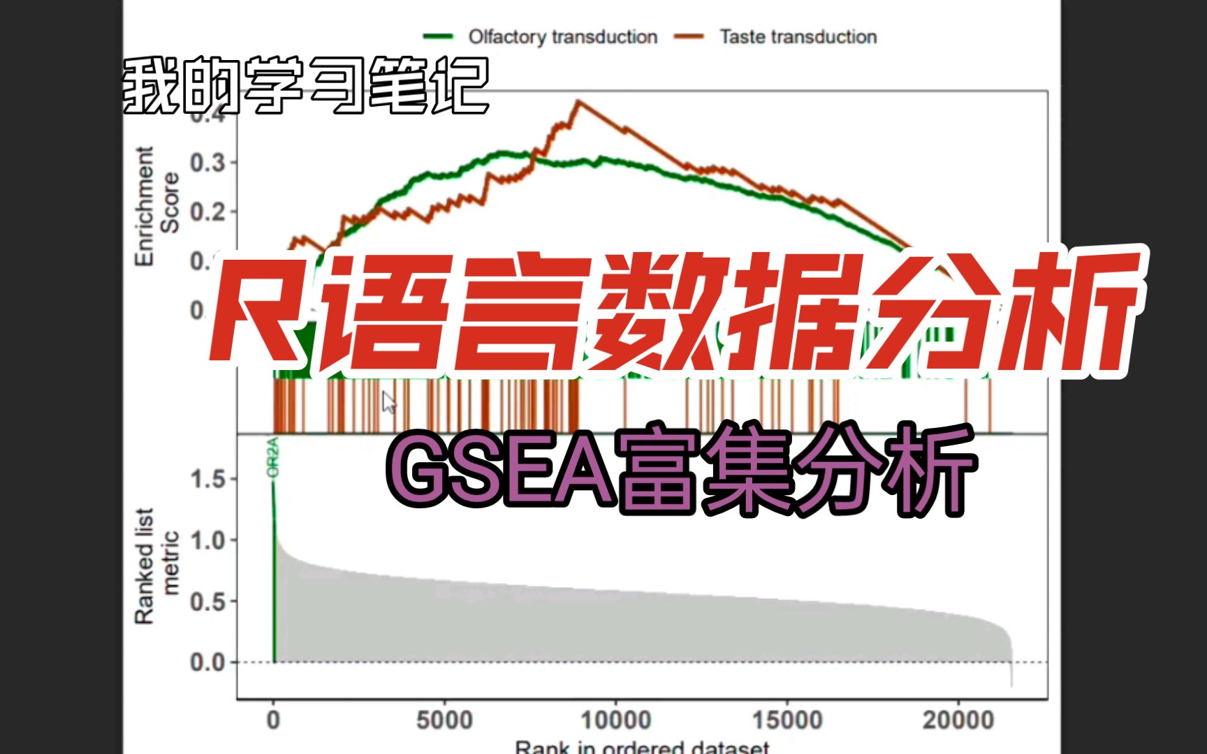 R语言数据处理17 单基因和常规GSEA富集分析哔哩哔哩bilibili