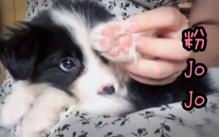 擦脚 搜索结果 哔哩哔哩 Bilibili