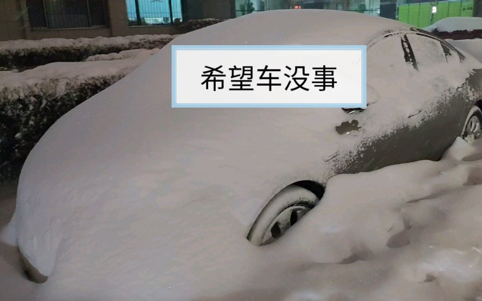 东北下雪了,我这南方人没见过的那种哔哩哔哩bilibili