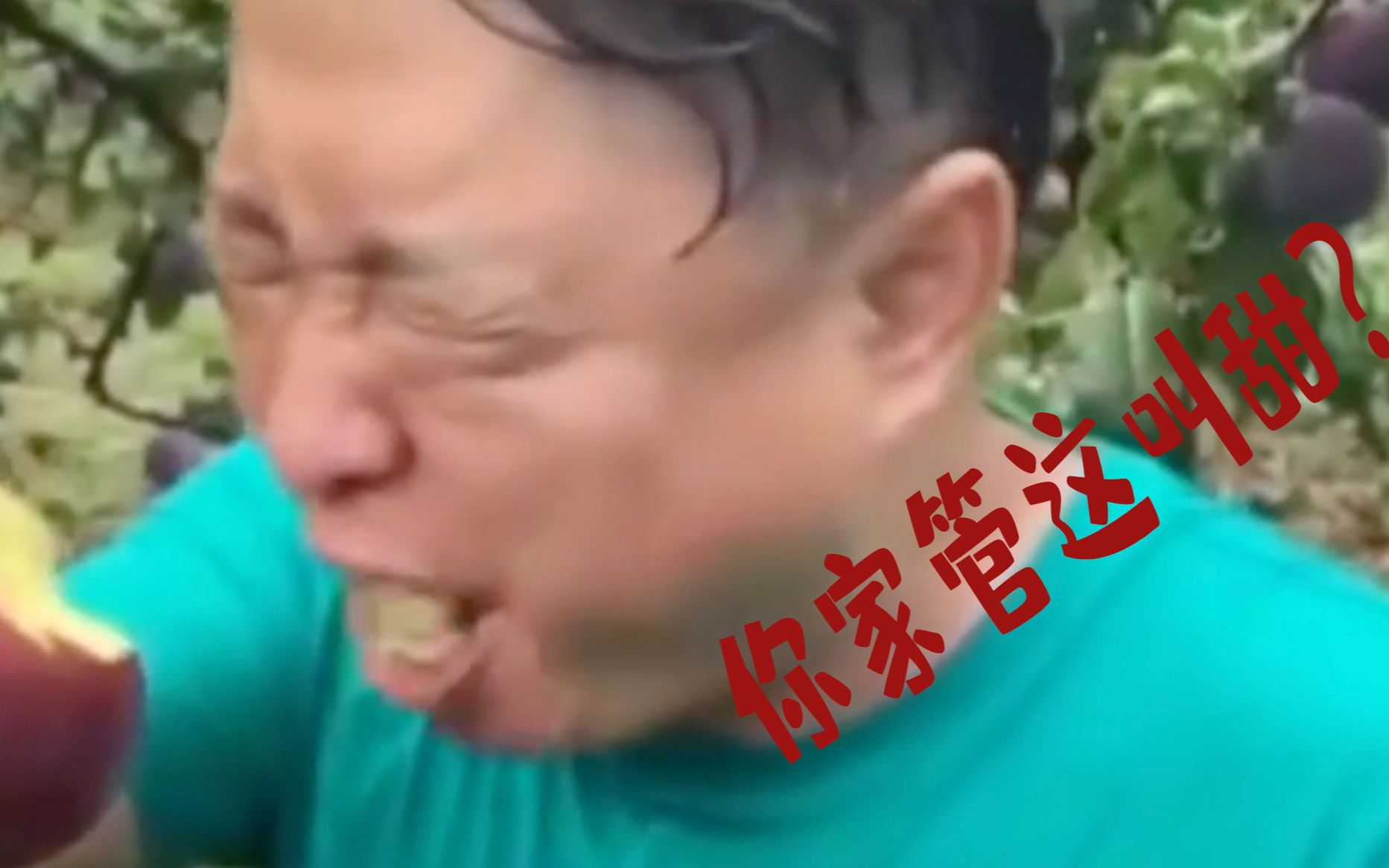 我家李子特别甜 你看我表情就知道