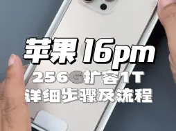 Download Video: 苹果16promax256G扩容1T详细步骤流程