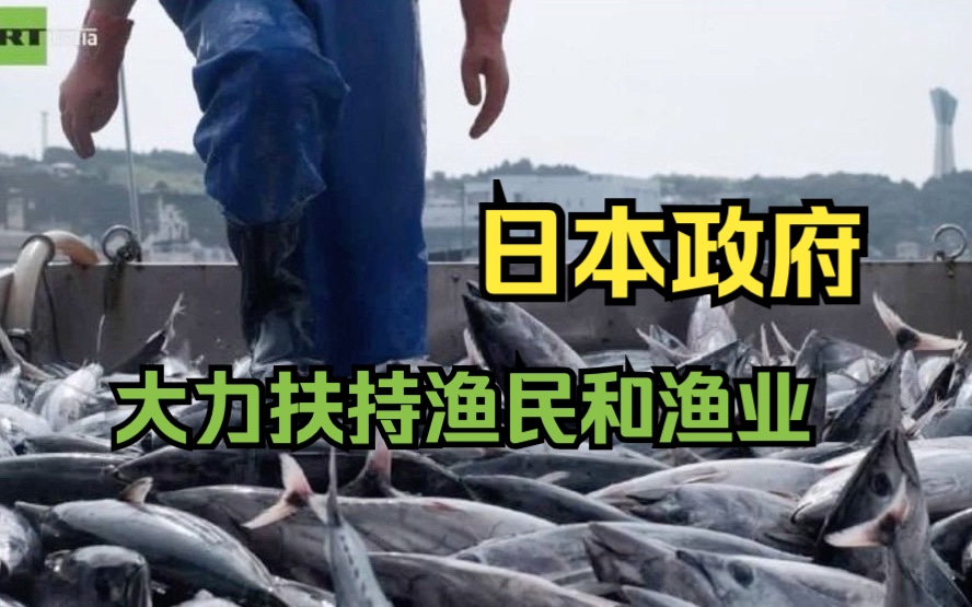 中国全面暂停进口后,日本计划额外拨约200亿日元支援渔业企业哔哩哔哩bilibili