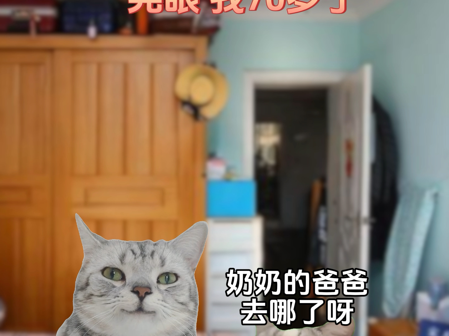 只要有爱终将相遇#故事源于网络#猫meme小剧场#真实还原#亲情#小猫哔哩哔哩bilibili