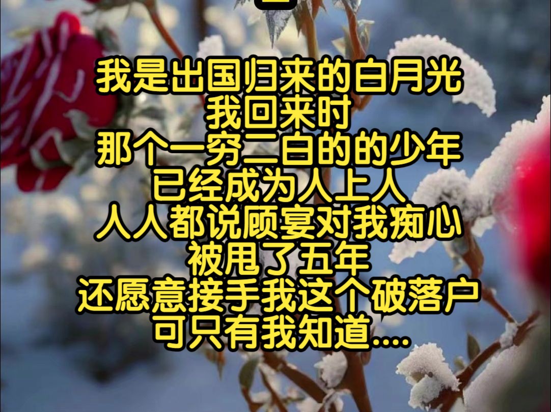 《归国云初》我是出国归来的白月光.我回来时,那个一穷二白的的少年已经成为人上人.人人都说顾宴对我痴心,被甩了五年还愿意接手我这个破落户....