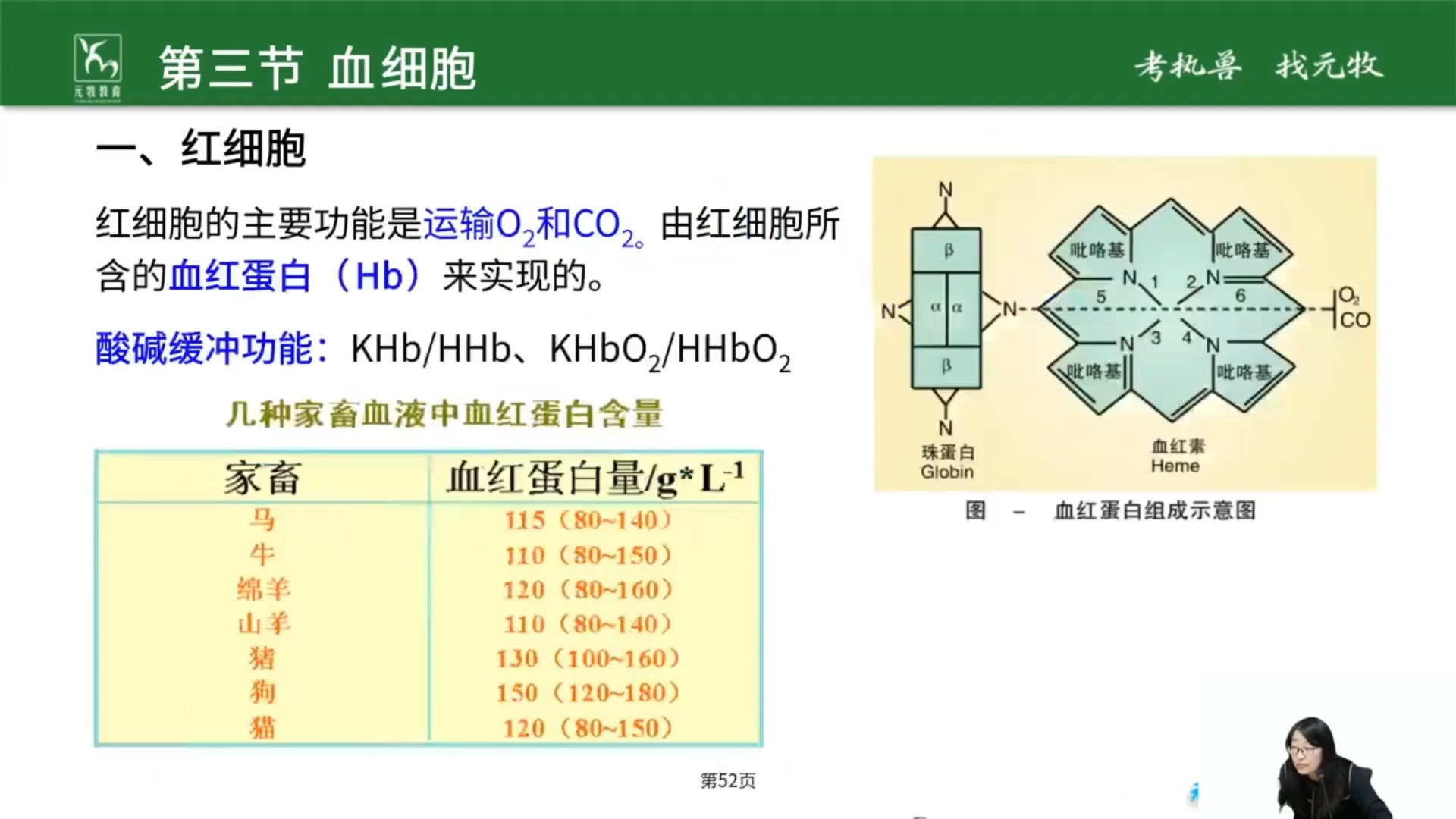 【元牧教育】红细胞哔哩哔哩bilibili