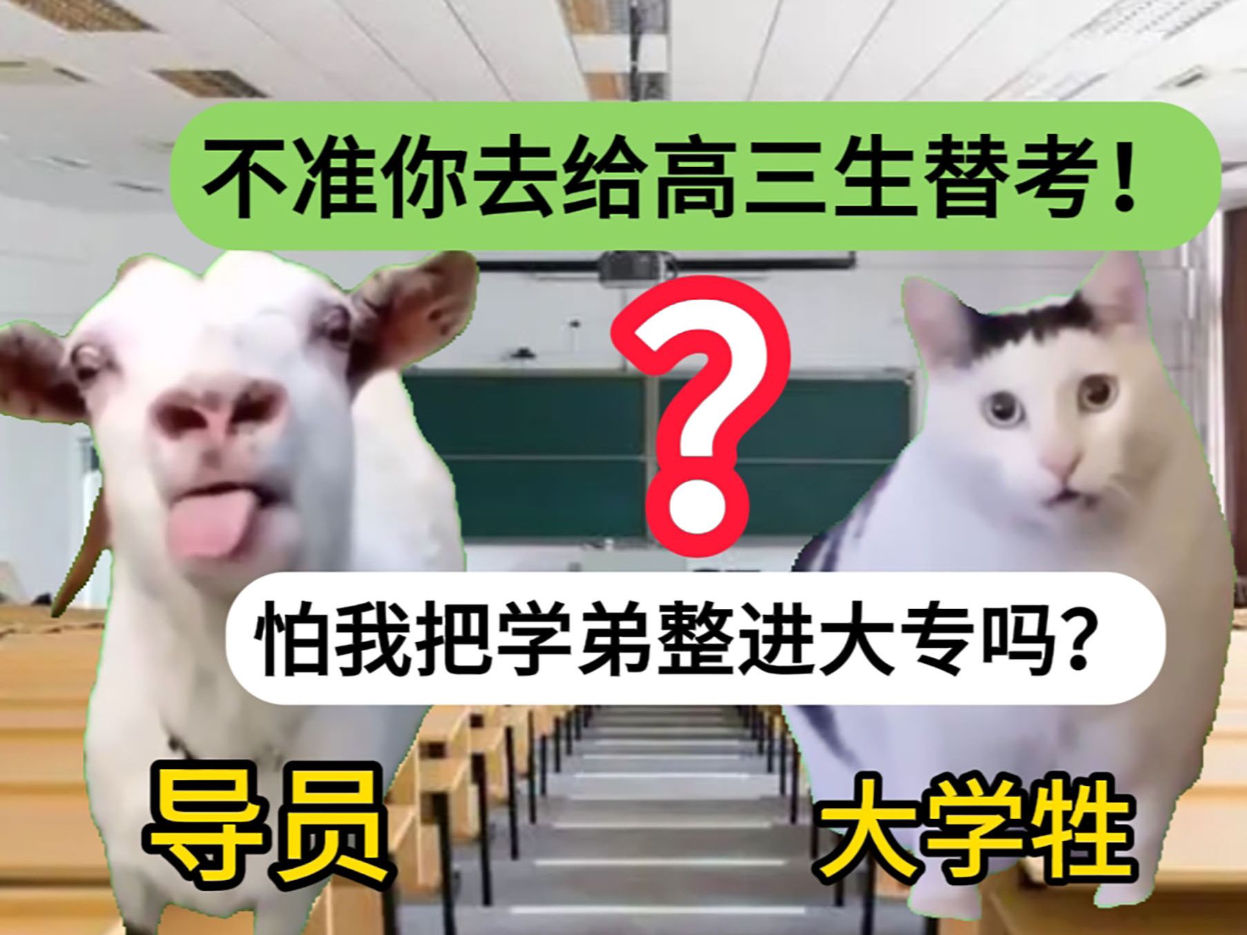 [图]【猫meme】00后大学生四年智力变化