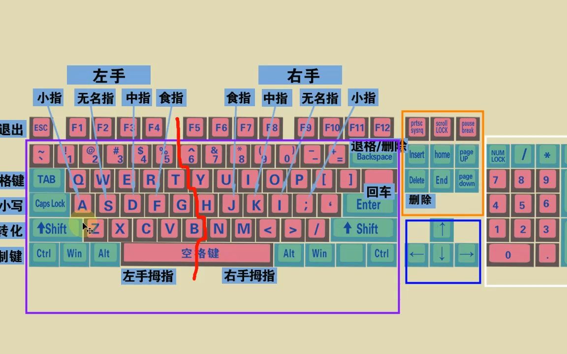 电脑初学者认识键盘和键盘正确打字方法哔哩哔哩bilibili