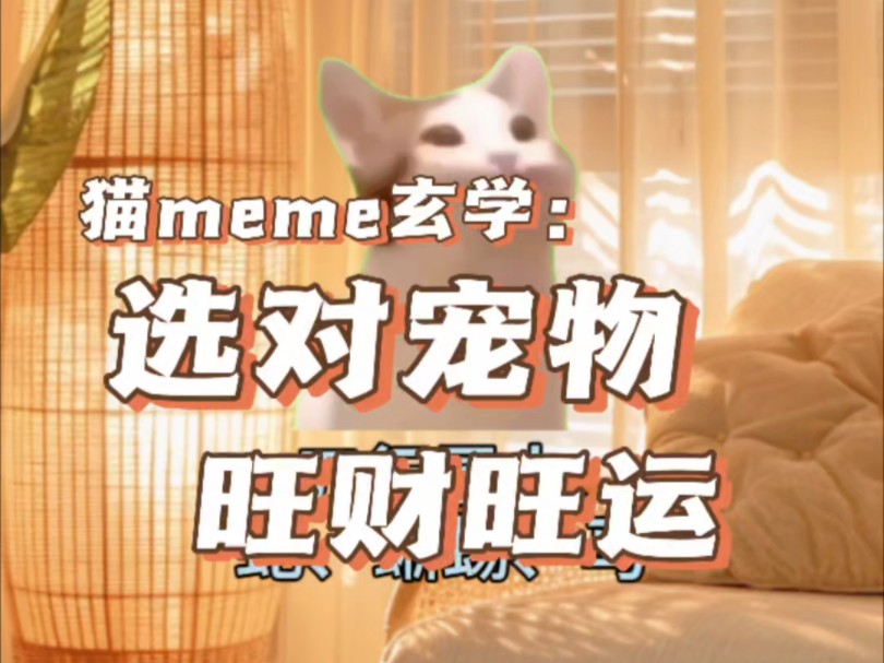 【猫meme】玄学建议:如何选择适合自己的宠物,宠物也是有五行的哔哩哔哩bilibili