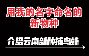 Download Video: 捕鸟蛛新种居然用我的名字命名了!？10年老玩家谈谈这些年的奇趣野采冒险之旅