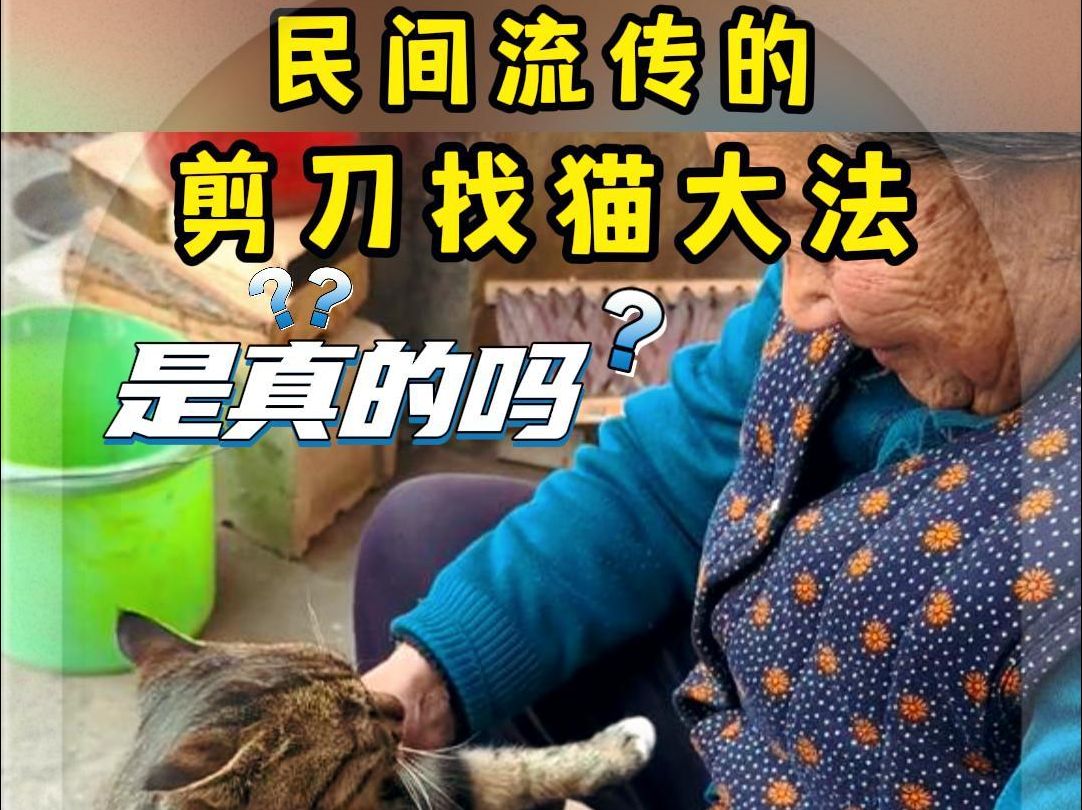 民间流传的剪刀找猫法,真的有用吗?哔哩哔哩bilibili