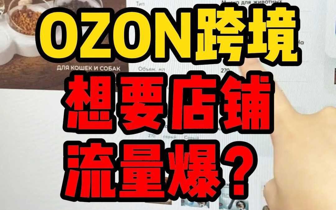 让ozon店铺产品流量爆涨的实用技巧哔哩哔哩bilibili