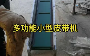 Video herunterladen: 小型家用传送带输送机定制