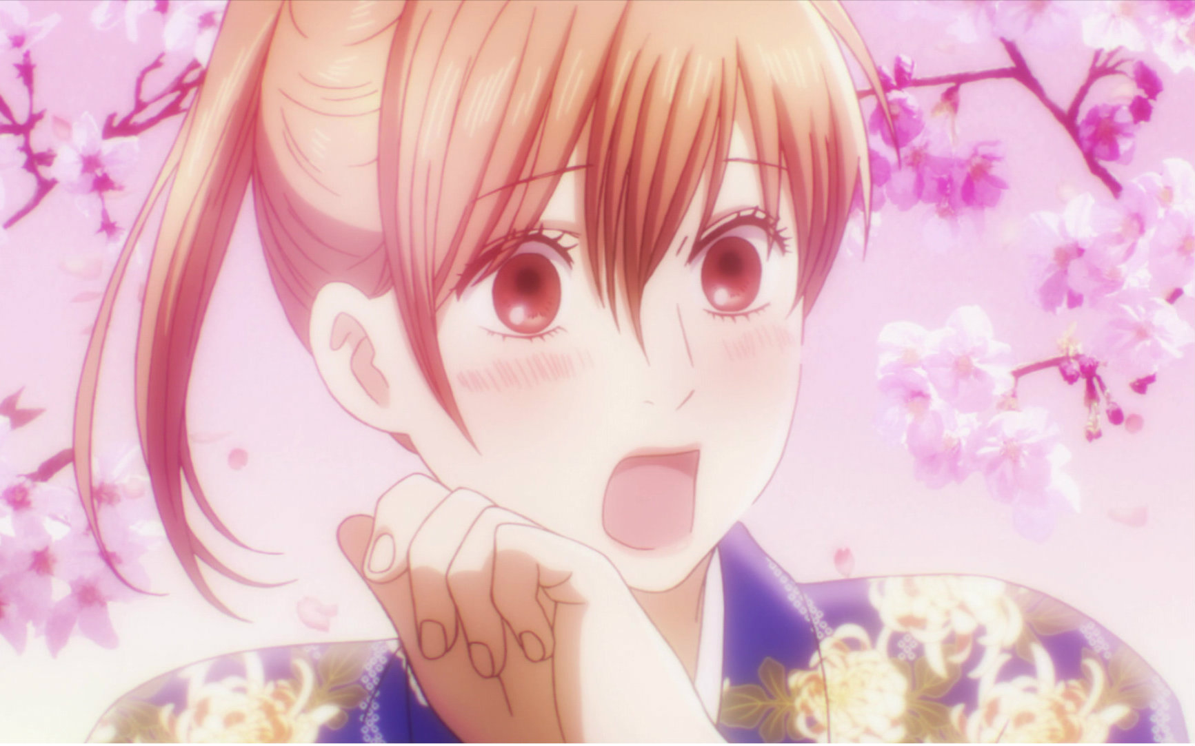 【合集】花牌情缘 / 歌牌情缘 第二季