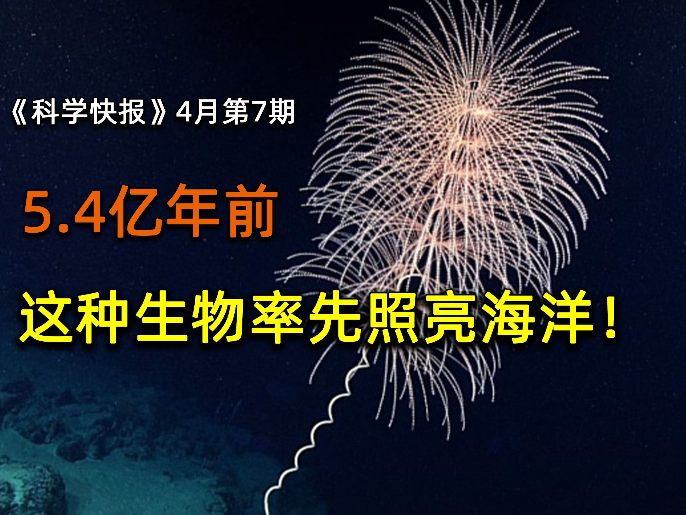 最新研究,海洋生物发光时间推至5.4亿年前!【科学快报】4月第7期哔哩哔哩bilibili