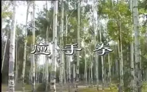 Descargar video: 应手拳 八极拳 何松吉