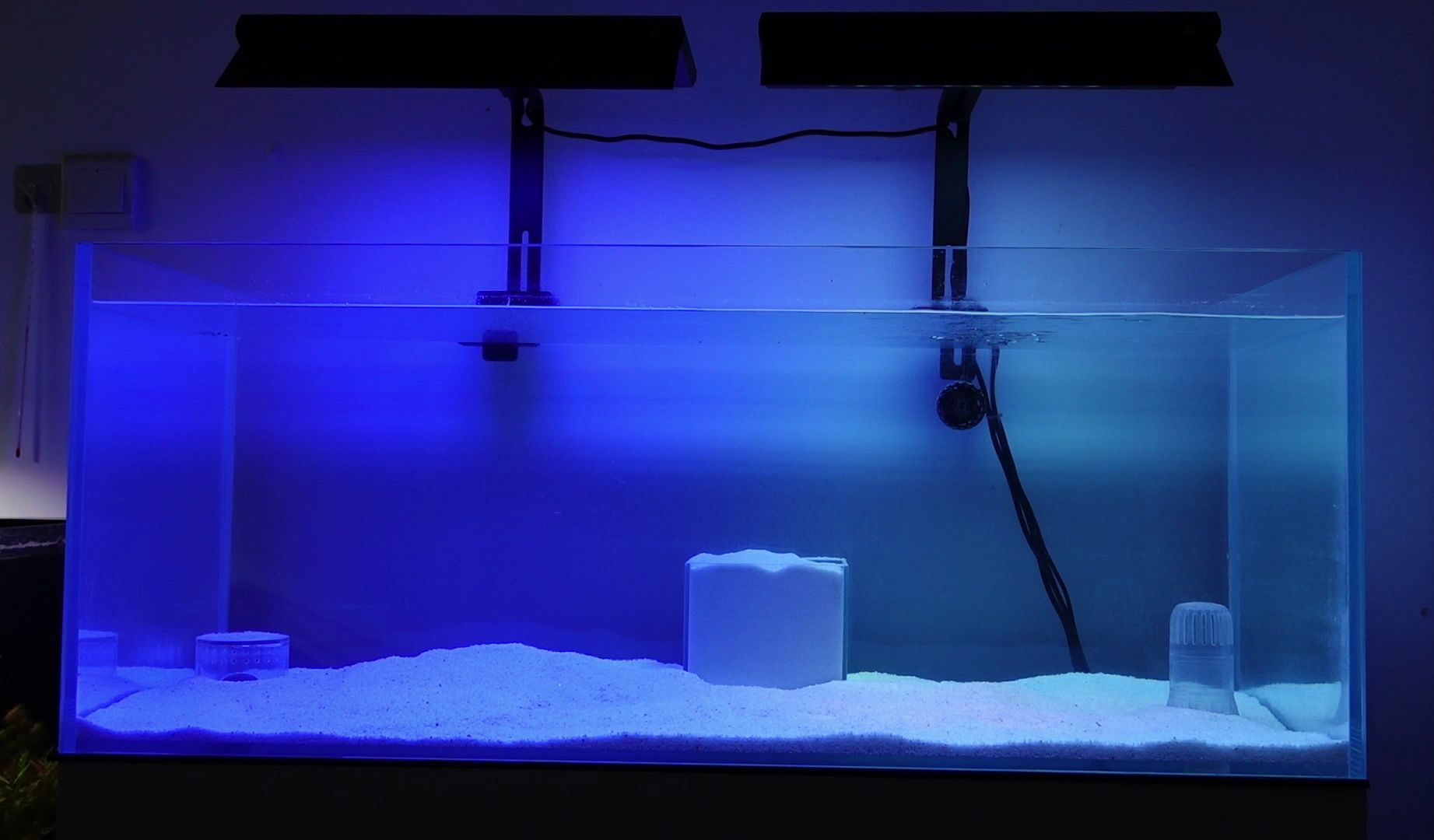 一边珊瑚灯一边水草灯,用二手设备开一个特殊的海缸,无蛋分无过滤