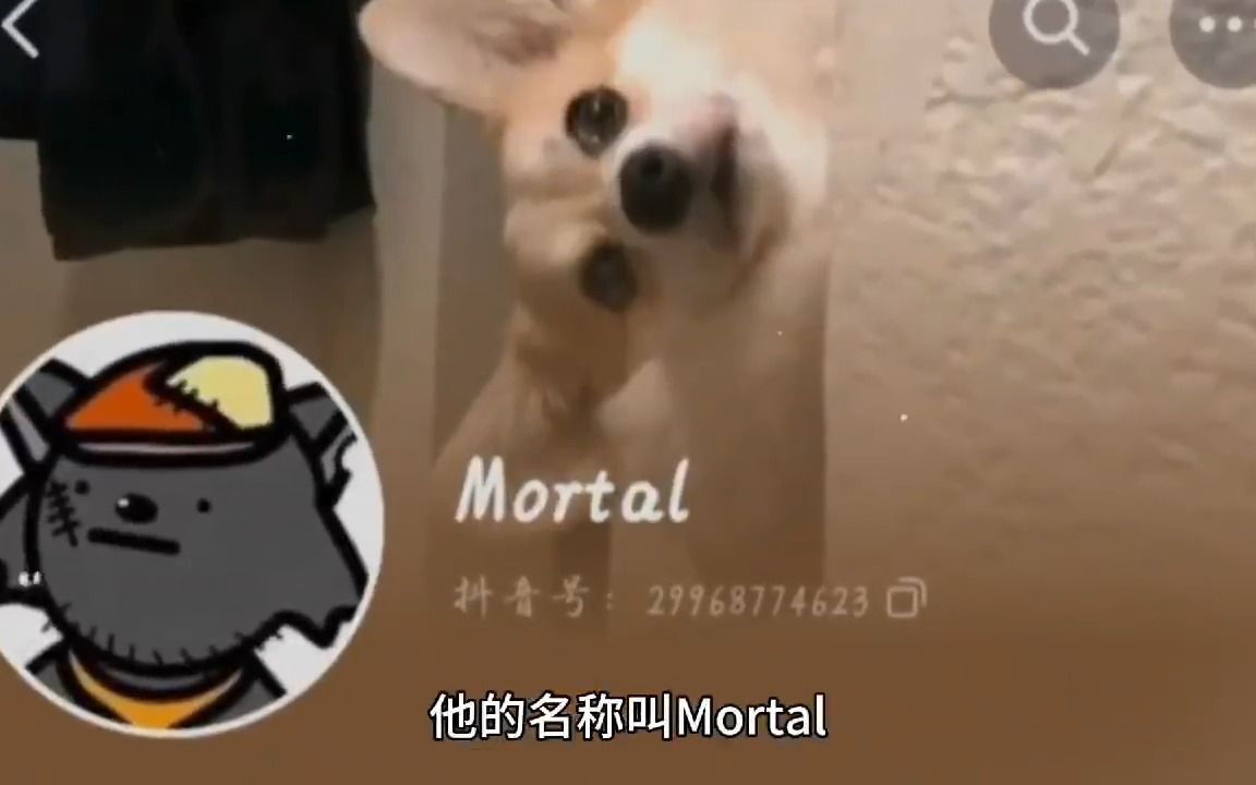 mortalremains图片