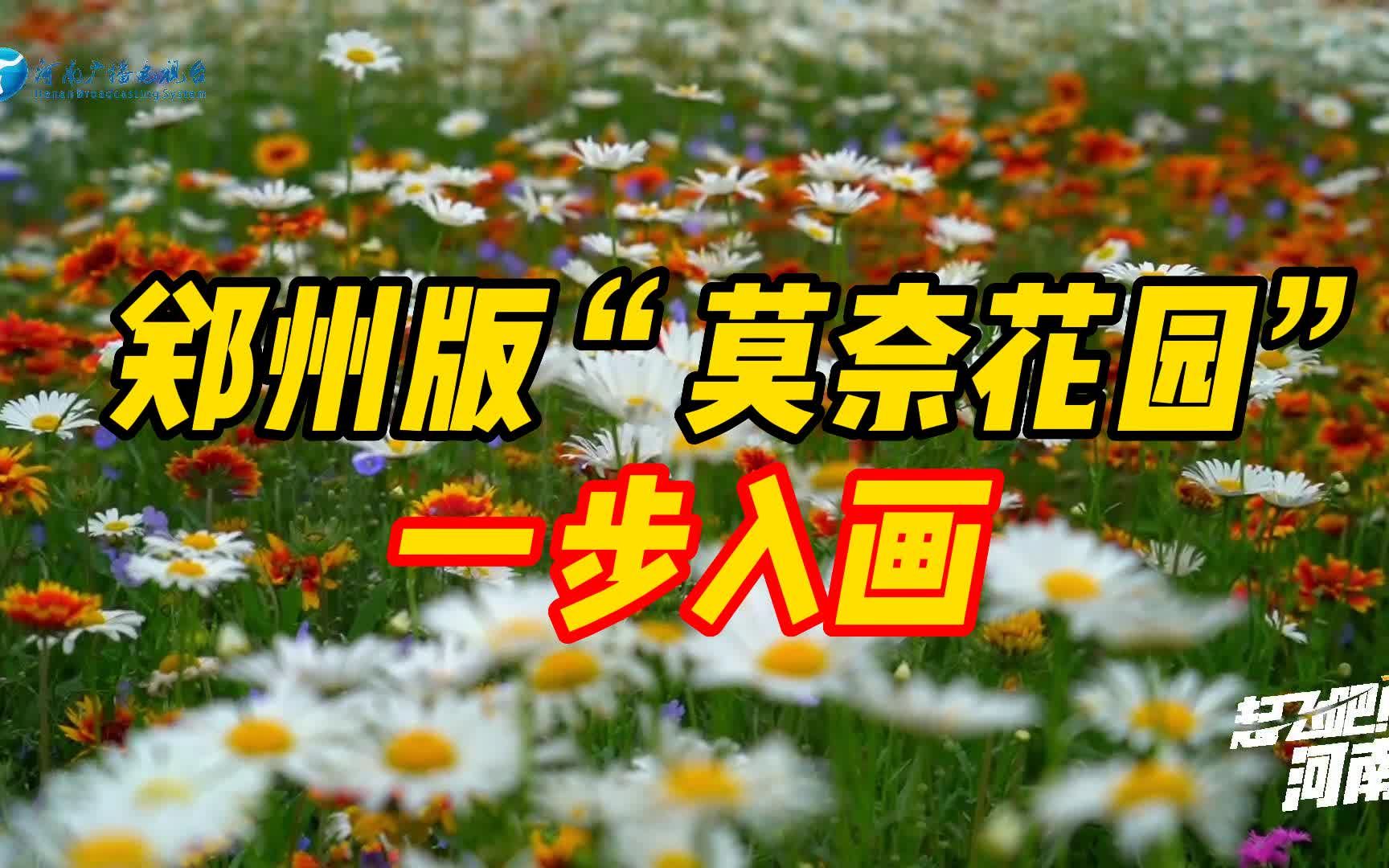 郑州版“莫奈花园”一步入画 这就是城市该有的样子吧|起飞吧河南哔哩哔哩bilibili