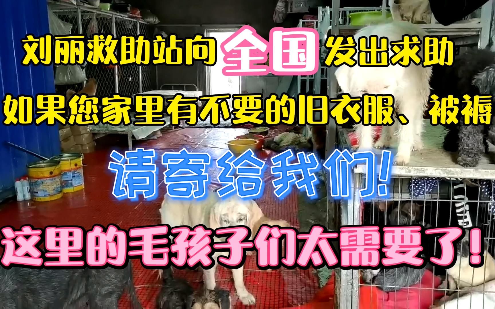 [图]【哈尔滨市刘丽小动物救助站】哈尔滨市刘丽小动物救助站面向全国征集旧衣物及旧被褥。如果您家刚好有这些闲置物品，请邮寄给我们！毛孩子们真的非常需要！