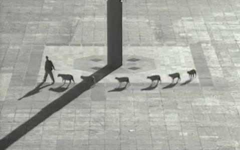 [图]Francis Alÿs - Cuentos Patrióticos, 1997 （弗朗西斯 埃利斯）