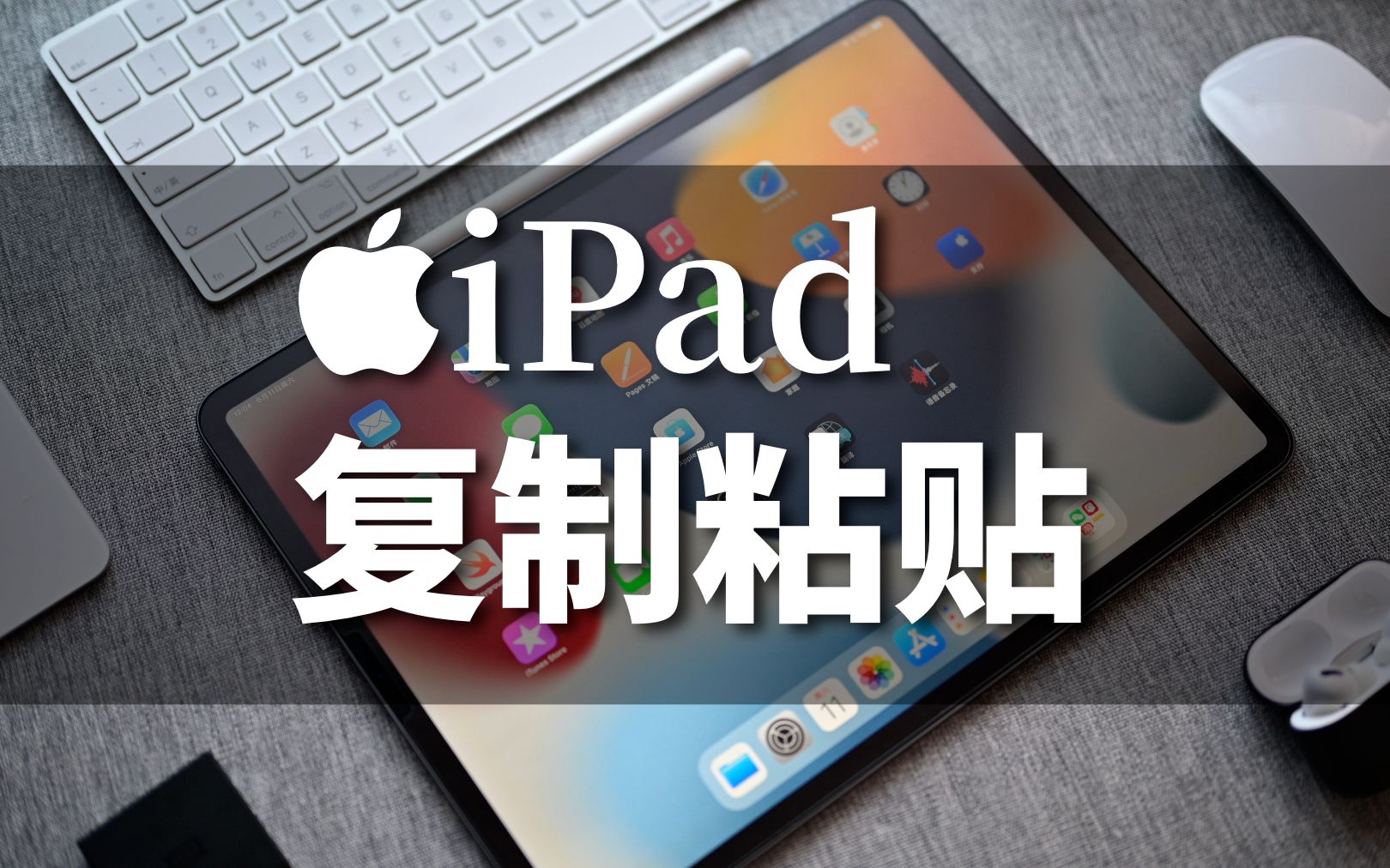 不同的人如何用ipad复制粘贴哔哩哔哩bilibili