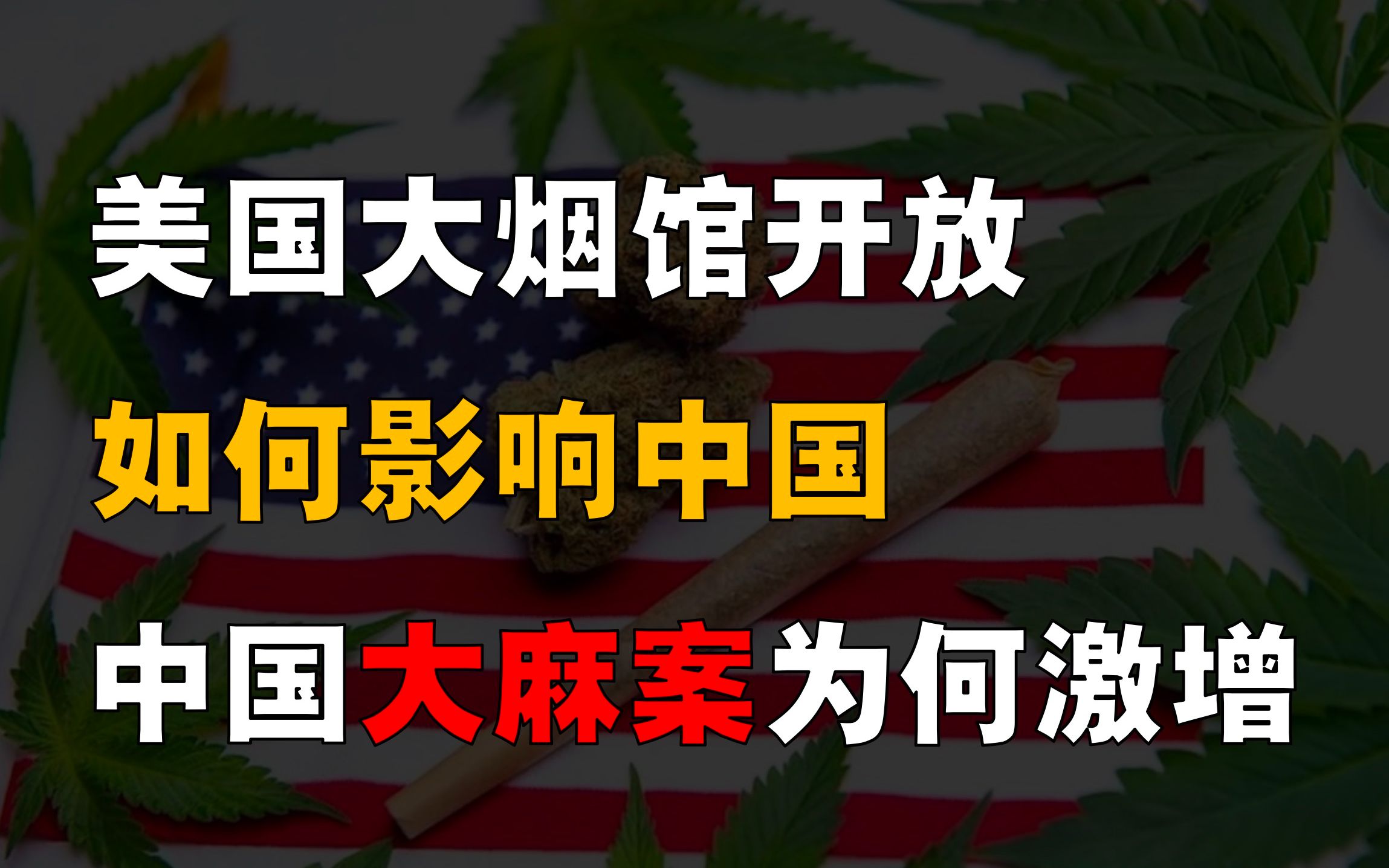 美国毒品合法,背后有何深意?中国大麻案激增,美国如何害我们?哔哩哔哩bilibili