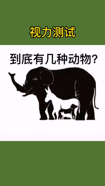 视力测试,有几只动物?