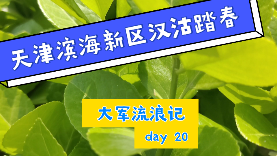 day20,在天津滨海新区汉沽踏春,体会本地文化哔哩哔哩bilibili