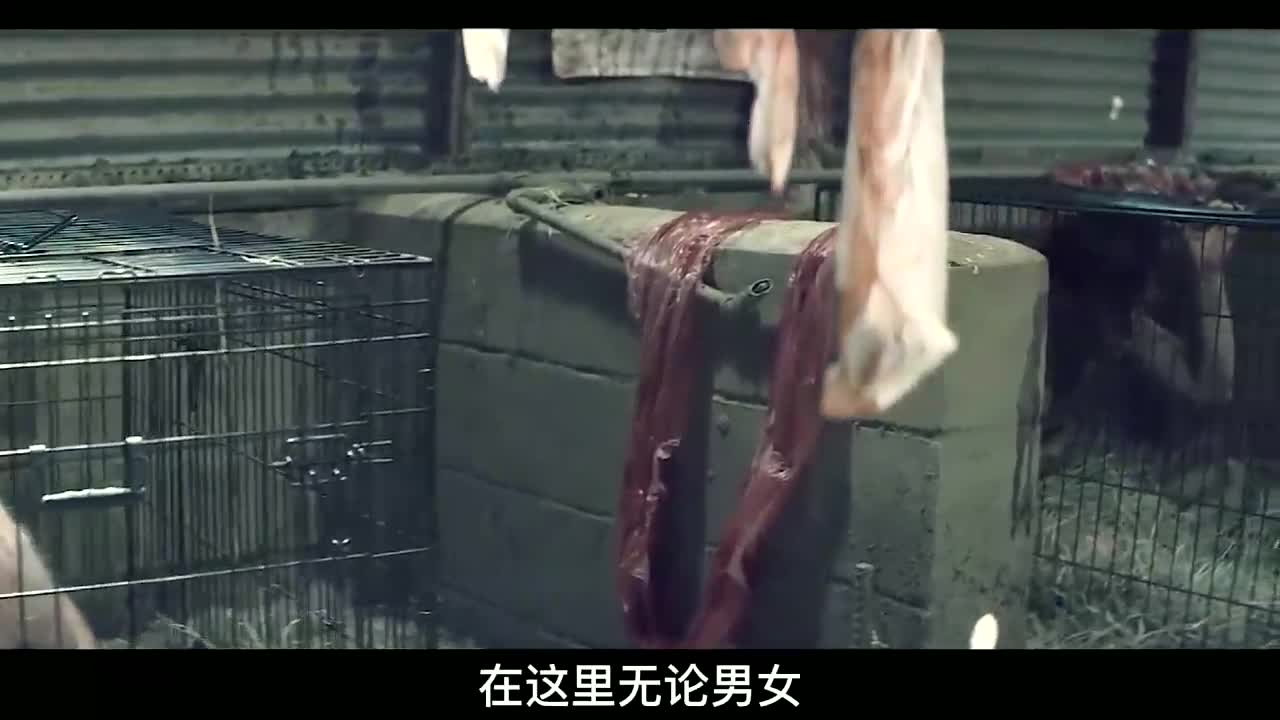 饲养人类的农场,男人是食物,女人关进笼子产奶《人肉农场》惊悚