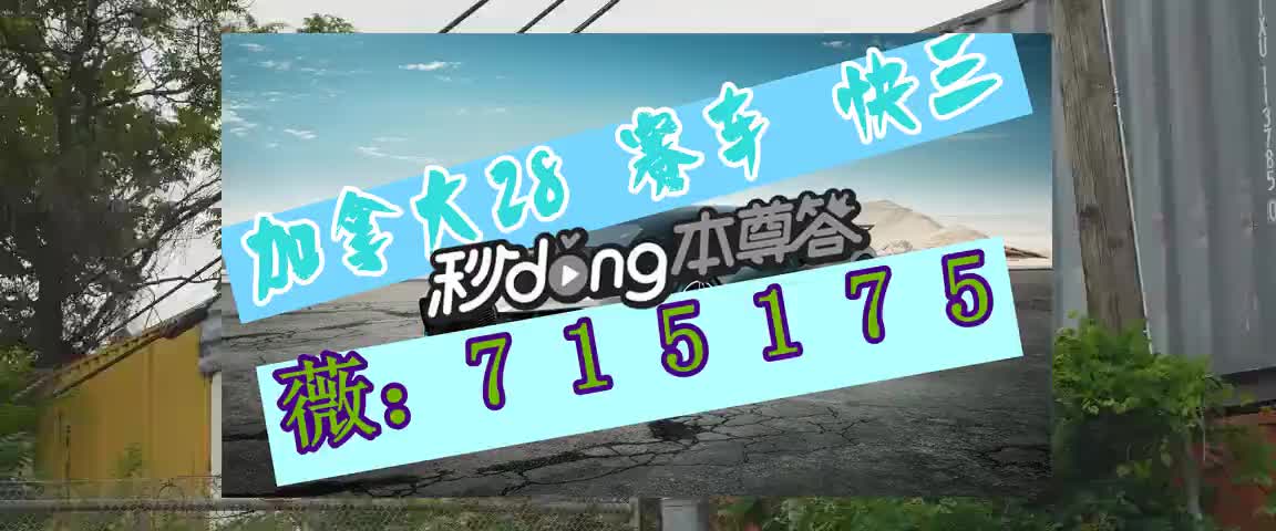 聊一聊加拿大28骗托