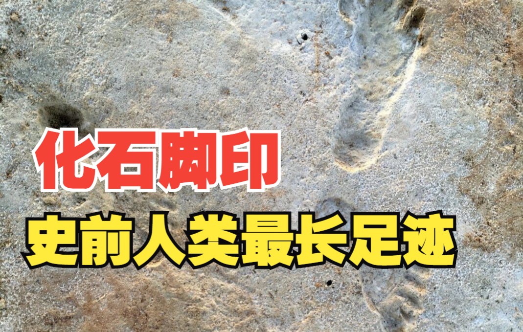 迄今为止发现的最长的史前人类足迹