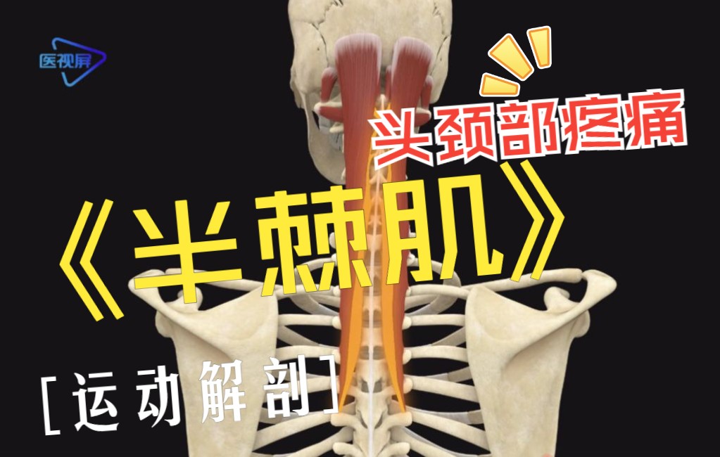 鬼棘针的作用和功效(鬼棘针:祛湿止痛,缓解关节疼痛)