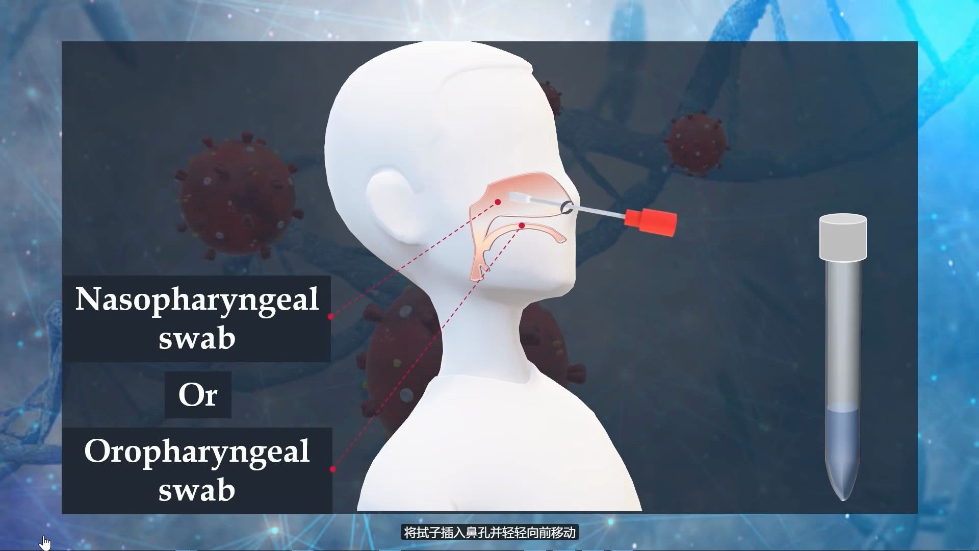 [图]新冠病毒核酸检测科普