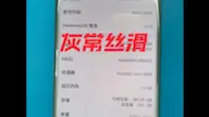 Télécharger la video: 华为mate40Pro升级12g运存   完美