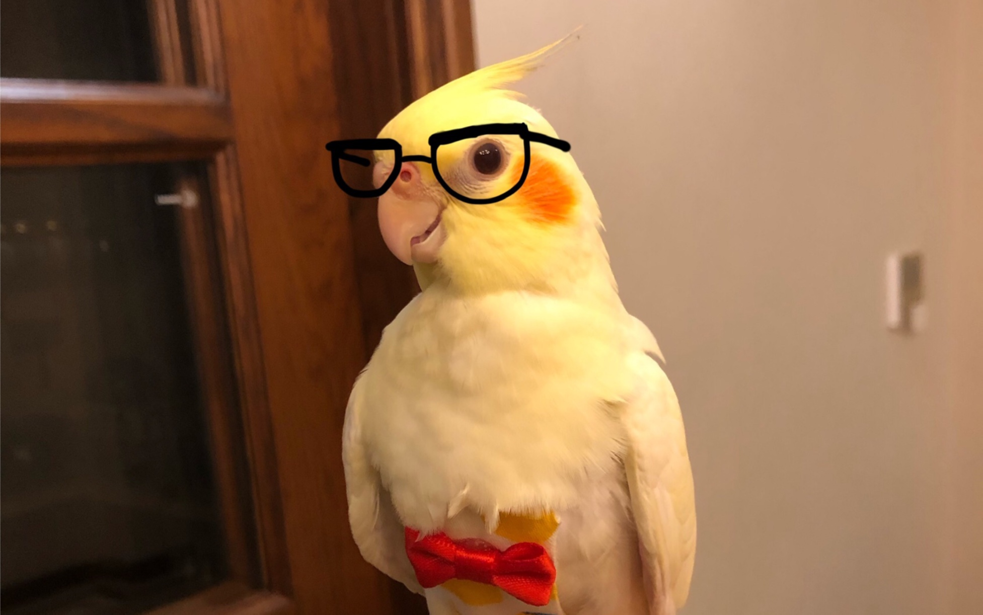 活动  【腮红鸡】快乐撸鸡,爽成鳌拜