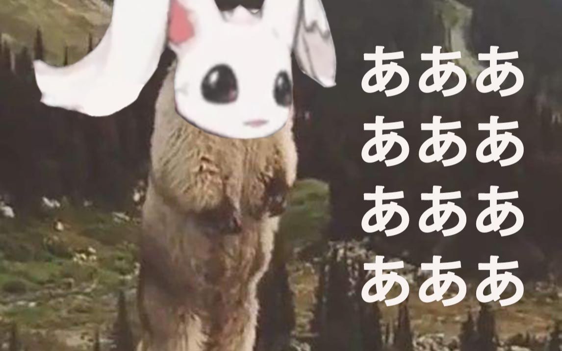 paryienough帕里桑的目力吼叫bigenough