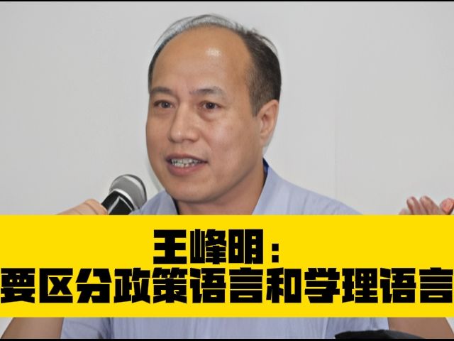 王峰明:要区分政策语言和学理语言哔哩哔哩bilibili