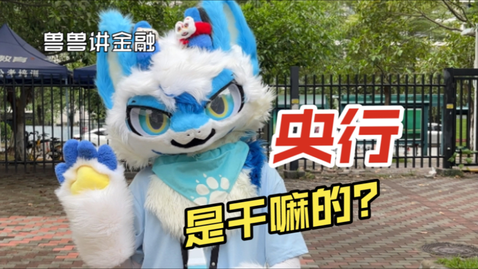 【金融】央行是干嘛用的?𐟤”哔哩哔哩bilibili